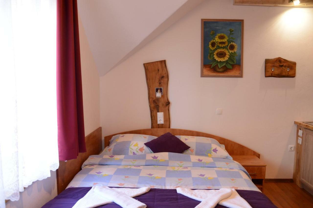 צ'רקנו Apartmens And Rooms Sostar מראה חיצוני תמונה